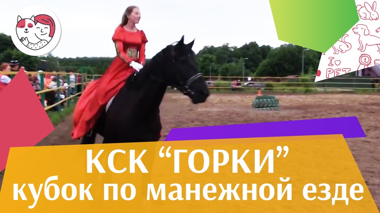 Летний кубок КСК Горки по манежной езде КЮР часть 26 на ilikepet