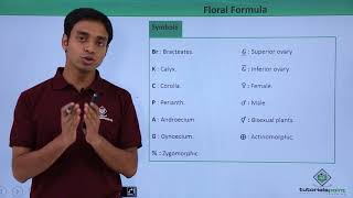 Class 11th – Floral Formula – Introduction | Morphology of Flowering Plants | Tutorials Point