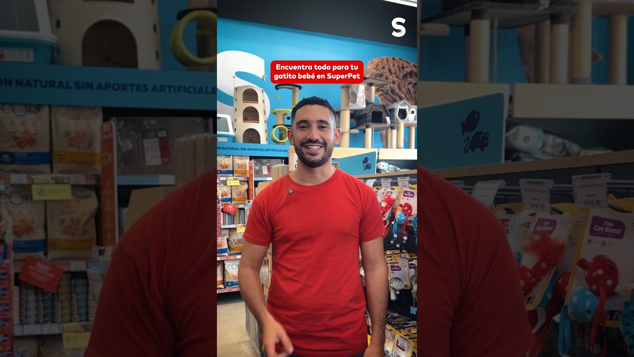 5 Escenciales para recibir a gatito