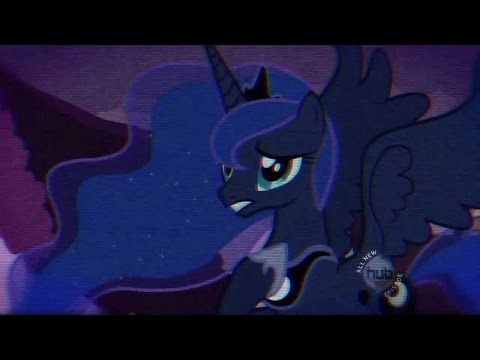 Cats Millionaire - Spiders on the Web