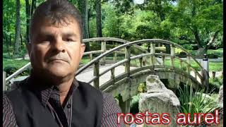 Download lagu aurel rostas ce folos de bogatie mp3