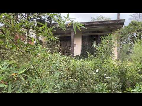 „Sie haben ein verlassenes Haus KOSTENLOS gereinigt – Was wir vorgefunden haben“