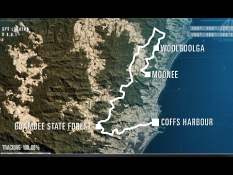 BACK HILL COUNTRY - ROOTHY AND GLENNO