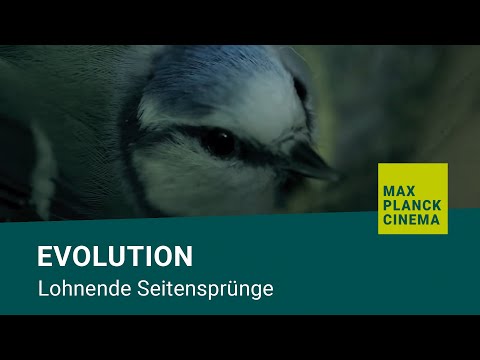Evolution - lohnende Seitensprünge