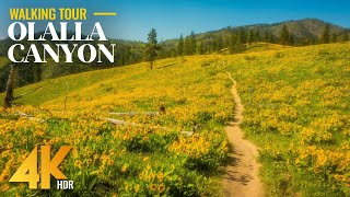 Olalla Canyon Ridge Trail - 4K HDR Scenic Hike among Wildflowers with Breathtaking Views