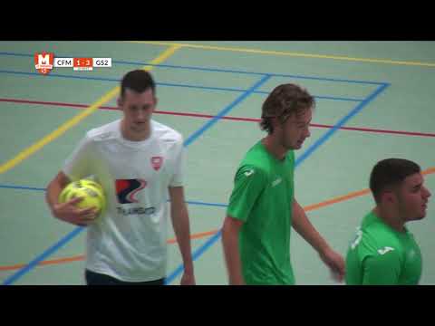 Samenvatting CFM - Groene Ster 2 17/18