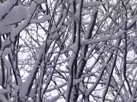 download lagu mp3 mp4 AAirial Incoercible, download mp3 AAirial Incoercible free download mp3, download mp3 AAirial Incoercible