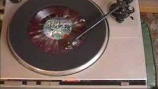 Hatebeak The Thing That Should Not Beak (be) Parrot-Bird Metal