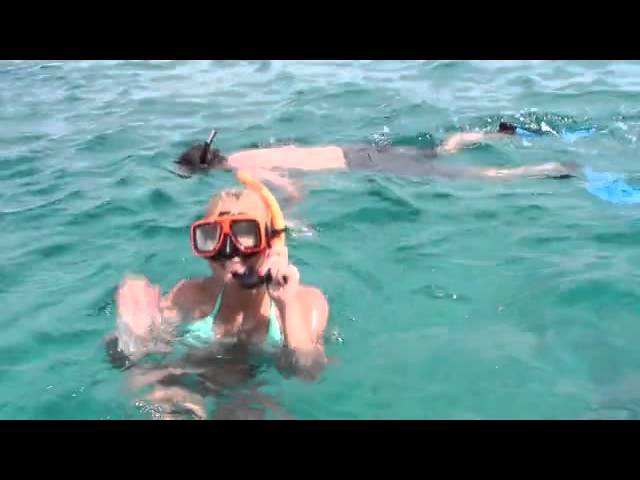 DeadMans Reef Snorkeling Freeport Bahamas - Dead Man's Reef Bahamas- BookATourCaribbean