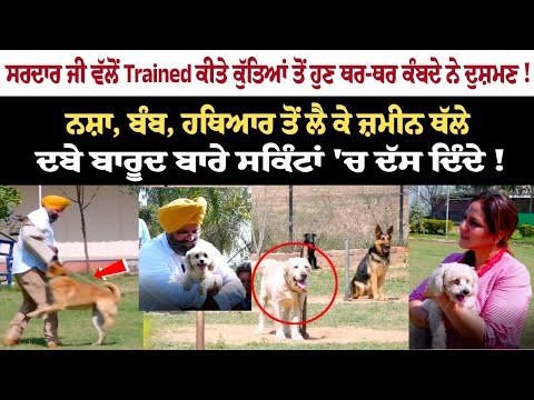 ਸਰਦਾਰ ਜੀ ਵੱਲੋਂ Trained ਕੀਤੇ ਕੁੱਤਿਆਂ ਤੋਂ ਹੁਣ ਥਰ-ਥਰ ਕੰਬਦੇ ਨੇ ਦੁਸ਼ਮਣ!