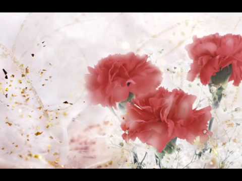 Mihemed shexo- Nesrin lyrics