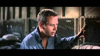 暴力脱獄　（cool hand luke - plastic jesus ）