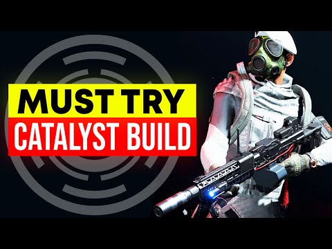 Catalyst Build You NEED to Try! Ultimate Damage Support Build (The Division 2)