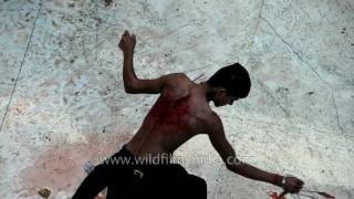 Spilling blood for religion : Shiite boys slash themselves with chained blades
