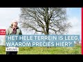 Protestlied voor behoud boom Hollandscheveld & de Cascaderun in Hoogeveen | Drenthe Nu