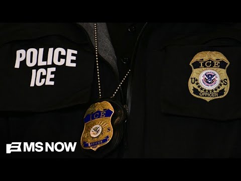 Judge bars ICE from arrests in immigration courts nationwide