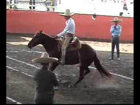 RECORD HISTORICO DE 50 PUNTOS EN LA SUERTE DE LA "CALA DE CABALLO"