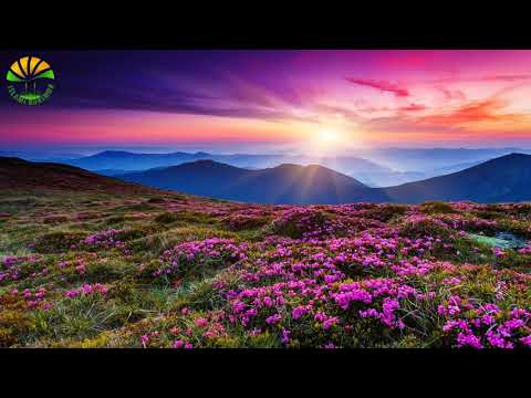 Përkujtimi i vdekjes - Hoxhë Sabahudin Selimi