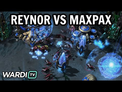 ALL-IN EACH OTHER - Reynor vs MaxPax (ZvP) - ESL Open Cup Europe [StarCraft 2]