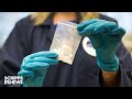 Scripps News Finds Red Flags In Review Of Child Fentanyl Overdoses