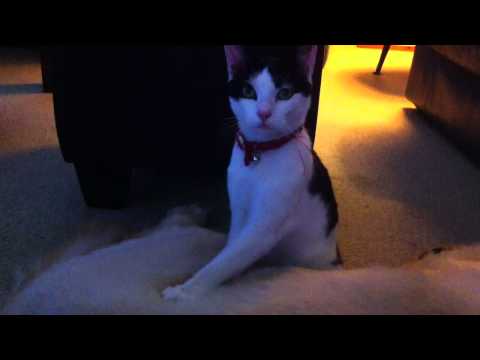 Tosh massages Charlie