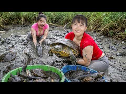 Harvesting Big Turtle and Giant Catfish to Sell at Market | Horse Carries Huge Turtle