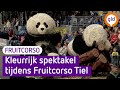 De zestigste editie van het Fruitcorso in Tiel