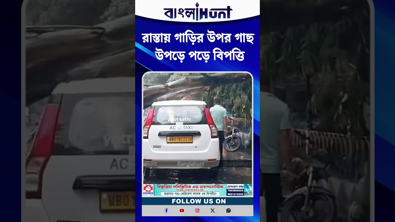 রাস্তায় গাড়ির উপর গাছ উপড়ে পড়ে বিপত্তি