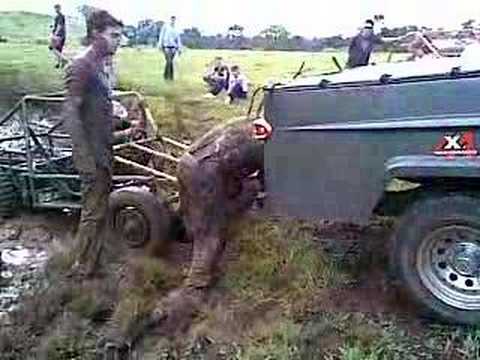 Trilha no bela vista 3