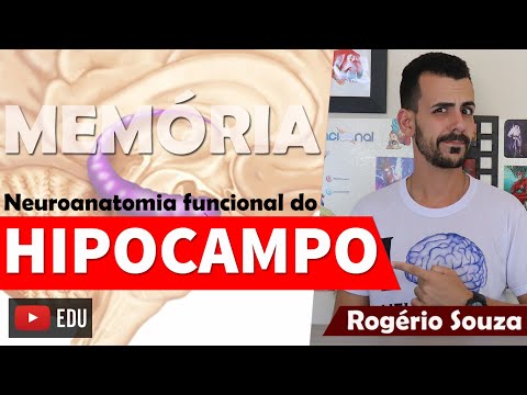HIPOCAMPO E ÁREAS DE MEMÓRIA: Neuroanatomia Funcional (Vídeo Aula) - Rogério Souza