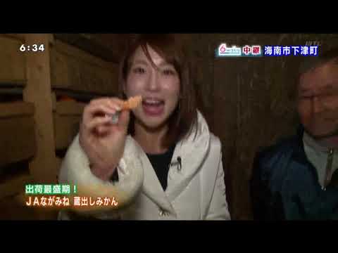 20200204ＪＡながみね蔵出しみかん