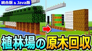 【マイクラ】まとめて一気に回収！植林場用 原木回収装置の作り方【Java版/統合版 1.21】