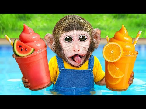 Mono BonBon cosecha sandías y se prepara para hacer un delicioso jugo de frutas con el bebé mono