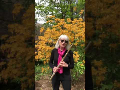 ASO Giving Day 2020 - Carolyn Brown