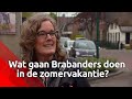 Wat gaan Brabanders doen in de zomervakantie?