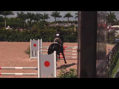 917 DON DIARADO 3031 R1