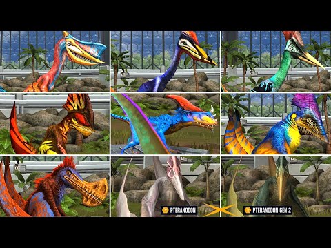 ALL PTEROSAURS RARE, SUPER RARE, LEGENDARY, LIMITED EDITION. Max Level 40 | Jurassic World The Game