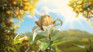 Download lagu DERİN DÜŞÜNMEK BELGESELİ (FULL HD) mp3