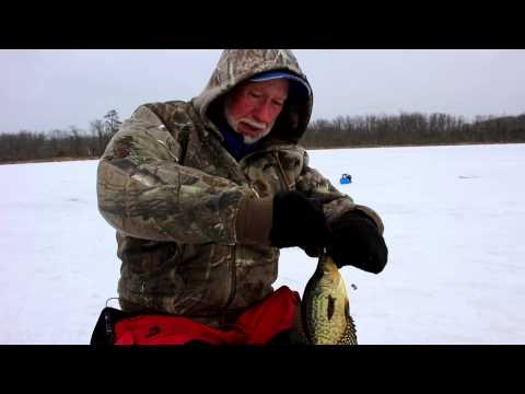 Northland Tip with Gary Roach