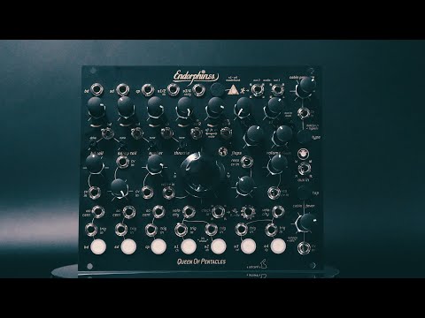 Endorphin.es QUEEN OF PENTACLES Eurorack 7 Voice Drum Module image 2