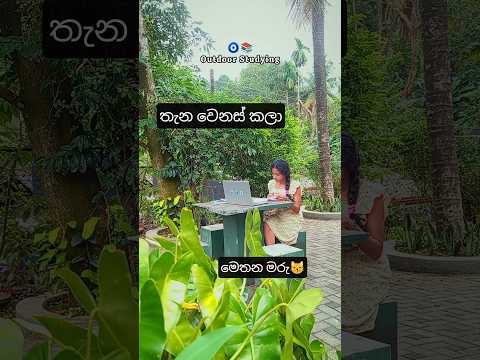 එළියෙ පාඩම් කරලා තියෙනවද 🌚📚☕  Outdoor study .  📖
