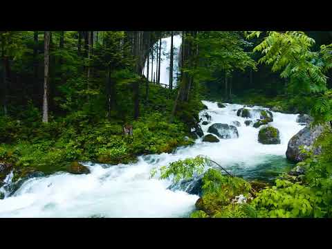 89  Surja El Fexhr   Agimi Kuranë Shqip