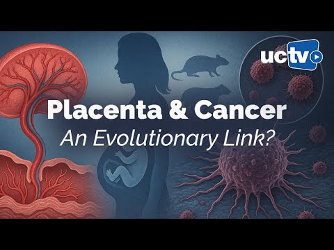 Does the Placenta Drive the Evolution of Cancer Malignancy?