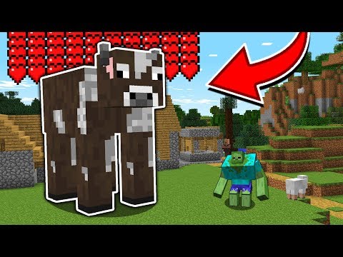download lagu mp3 mp4 Betty The Cow, download lagu Betty The Cow gratis, unduh video klip Betty The Cow
