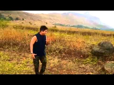 Fresh Morning With Fresh Nature - Sukhwinder Singh