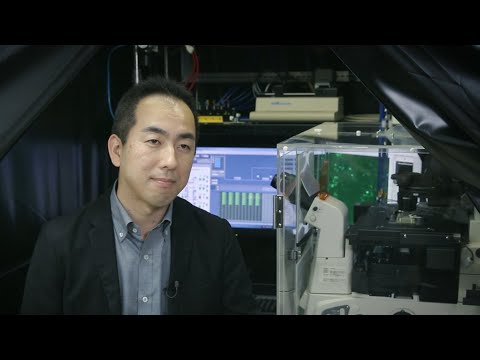 Sensei Theater:"My ultimate goal is to reproduce a living creature on a small chip"