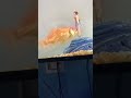 Opening To Elmo S World Birthdays Games More 2001 VHS At Respect House