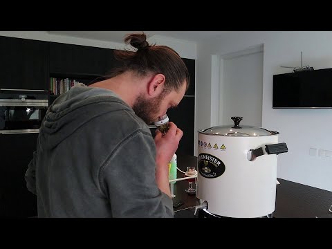 Braumeister 10L - Nectaron IPA grain to glass compilation video 😃