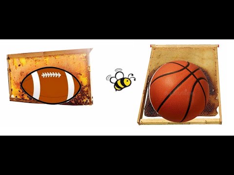 Vertical and Horizontal Beehives & Math of Overwintering. Honey Bee Clusters, Shapes & Frame Design