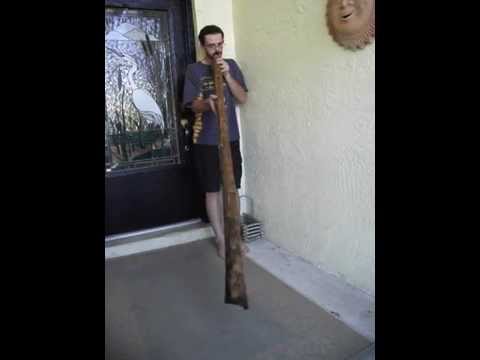 Agave Didgeridoo - Big Easy - thejmjexperience